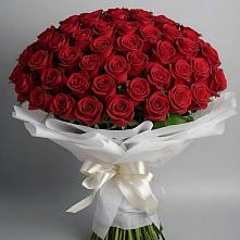 Букет 101 Красная роза Блэк Мэджик в Красногвардейский