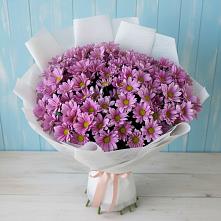 Букет цветов из:  Хризантемы #REPLACE_PRED# Красногвардейский