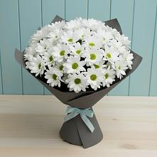 Букет цветов из:  Хризантемы #REPLACE_PRED# Красногвардейский