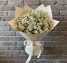 Букет цветов из:  Ромашки #REPLACE_PRED# Красногвардейский