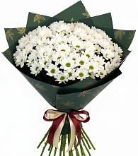 Букет цветов из:  Хризантемы #REPLACE_PRED# Красногвардейский