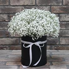 Цветочная композиция из Гипсофила в шляпной коробке в Красногвардейский